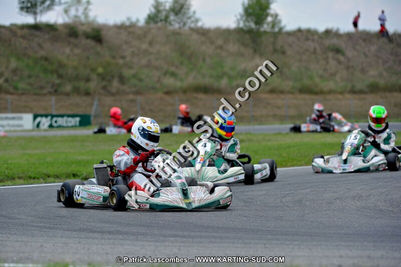 DSC_ (462).jpg
